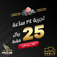 Falcon subscription 24 hours